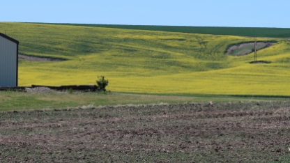 Idaho spring farmland