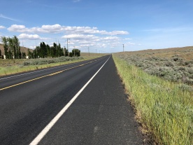 The scenery in eastern Washington is much different from the coast. No redwoods. Lots of grass.
